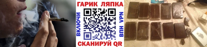 ГАШ Premium  Светогорск 