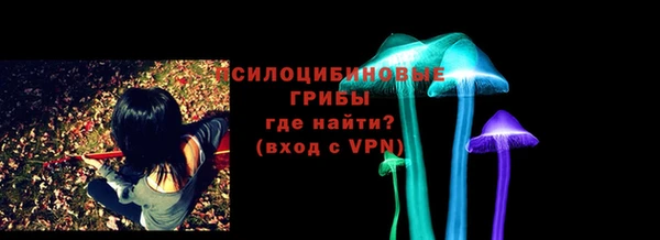 трава Беломорск