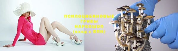трава Беломорск
