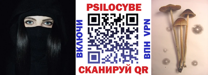 MEGA онион  Светогорск  Галлюциногенные грибы GOLDEN TEACHER 